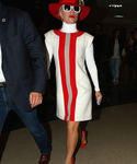 gaga_282329.jpg