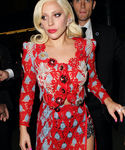 gaga_284229.JPG