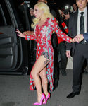 gaga_289529.JPG