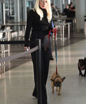 gaga_28529.jpg