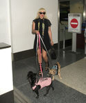 Filename=gaga_281029.jpg
Filesize=2487KiB
Dimensions=5400x7200
Date added=Sep 16, 2015 gaga_281029.jpg