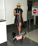 Filename=gaga_281129.jpg
Filesize=2627KiB
Dimensions=5400x7200
Date added=Sep 16, 2015 gaga_281129.jpg