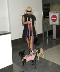 Filename=gaga_281229.jpg
Filesize=2465KiB
Dimensions=5400x7200
Date added=Sep 16, 2015 gaga_281229.jpg
