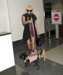 Filename=gaga_281329.jpg
Filesize=2361KiB
Dimensions=5400x7200
Date added=Sep 16, 2015 gaga_281329.jpg