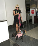 Filename=gaga_281429.jpg
Filesize=2520KiB
Dimensions=5400x7200
Date added=Sep 16, 2015 gaga_281429.jpg