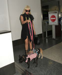 Filename=gaga_281529.jpg
Filesize=2312KiB
Dimensions=5400x7200
Date added=Sep 16, 2015 gaga_281529.jpg