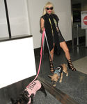 Filename=gaga_281729.jpg
Filesize=2280KiB
Dimensions=4800x7200
Date added=Sep 16, 2015 gaga_281729.jpg
