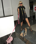 Filename=gaga_281829.jpg
Filesize=2223KiB
Dimensions=4800x7200
Date added=Sep 16, 2015 gaga_281829.jpg