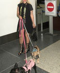 Filename=gaga_28829.jpg
Filesize=2207KiB
Dimensions=4200x7200
Date added=Sep 16, 2015 gaga_28829.jpg