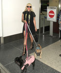 Filename=gaga_28929.jpg
Filesize=2711KiB
Dimensions=5400x7200
Date added=Sep 16, 2015 gaga_28929.jpg