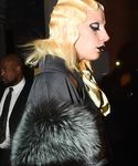 gaga_283329.jpg