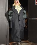gaga_283529.jpg