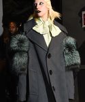 gaga_284629.jpg