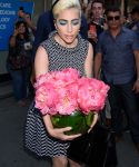 Filename=m_2825129.jpg
Filesize=795KiB
Dimensions=2429x3600
Date added=May 28, 2018 m_2825129.jpg