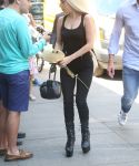 Filename=g_289529.jpg
Filesize=1978KiB
Dimensions=3456x5184
Date added=Jun 26, 2018 g_289529.jpg