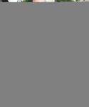 Filename=gg_282329.JPG
Filesize=159KiB
Dimensions=2112x3000
Date added=Jun 28, 2018 gg_282329.JPG