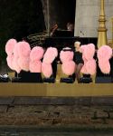 Filename=photo_5.jpg
Filesize=7988KiB
Dimensions=4924x3284
Date added=Jul 26, 2024 photo_5.jpg