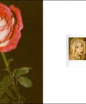 Filename=lady-gaga-006.jpg
Filesize=31KiB
Dimensions=720x480
Date added=Jun 08, 2010 lady-gaga-006.jpg