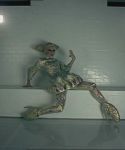 Filename=lady_gaga_217.jpg
Filesize=48KiB
Dimensions=1440x720
Date added=Aug 06, 2010 lady_gaga_217.jpg