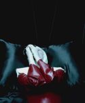 Filename=lady_gaga_237.jpg
Filesize=99KiB
Dimensions=1920x1080
Date added=Aug 06, 2010 lady_gaga_237.jpg