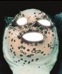 lady_gaga_666.jpg