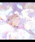 Filename=1_2825929.jpg
Filesize=112KiB
Dimensions=1920x1080
Date added=Jul 13, 2016 1_2825929.jpg