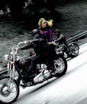 Filename=lady_gaga_049.jpg
Filesize=327KiB
Dimensions=1920x1080
Date added=May 07, 2011 lady_gaga_049.jpg