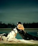 lady_gaga_032.jpg
