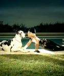 Filename=lady_gaga_180.jpg
Filesize=122KiB
Dimensions=1400x1048
Date added=Aug 06, 2010 lady_gaga_180.jpg