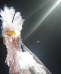 Filename=lady_gaga_054.jpg
Filesize=60KiB
Dimensions=800x600
Date added=Feb 20, 2011 lady_gaga_054.jpg