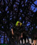 lady_gaga_116.jpg
