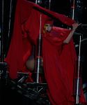 lady_gaga_233.jpg
