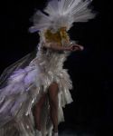 Filename=lady_gaga_374.jpg
Filesize=569KiB
Dimensions=2000x3000
Date added=Feb 24, 2011 lady_gaga_374.jpg