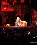 Filename=lady_gaga_015.jpg
Filesize=45KiB
Dimensions=580x385
Date added=Apr 29, 2012 lady_gaga_015.jpg