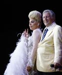 gaga_2812129.jpg
