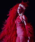 gaga_287529.jpg