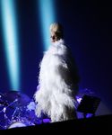 gaga_288529.jpg