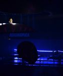 Filename=g_28329.jpg
Filesize=560KiB
Dimensions=2048x1365
Date added=Jan 24, 2018 g_28329.jpg
