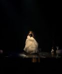 Filename=g_2828729.jpg
Filesize=300KiB
Dimensions=1080x1080
Date added=Aug 24, 2017 g_2828729.jpg