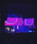 g_288229.jpg