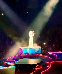 Filename=g_28729.jpg
Filesize=337KiB
Dimensions=1536x2048
Date added=Nov 23, 2017 g_28729.jpg