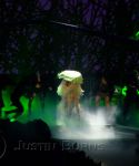 lady-gaga-066.jpg