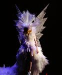 lady_gaga_240.jpg