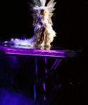 lady_gaga_247.jpg