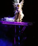 lady_gaga_248.jpg