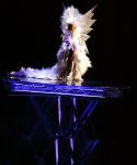 Filename=lady_gaga_252.jpg
Filesize=384KiB
Dimensions=681x1024
Date added=Jul 31, 2010 lady_gaga_252.jpg