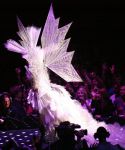 lady_gaga_254.jpg
