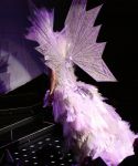 lady_gaga_257.jpg