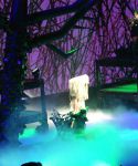 lady_gaga_260.jpg