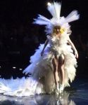 lady_gaga_346.jpg